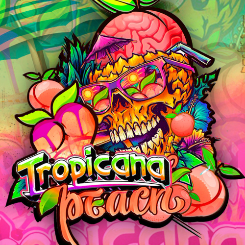 Tropicana Peach x3