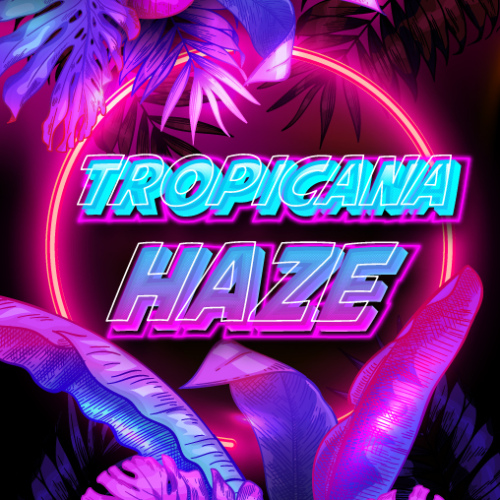 Tropicana Haze x3