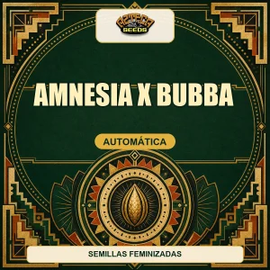 Amnesia x Bubba