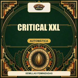 Critical XXL