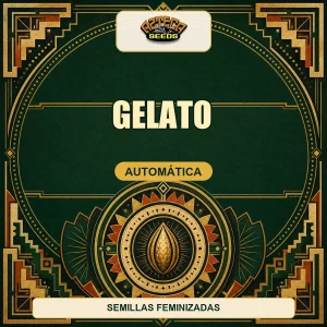 Gelato