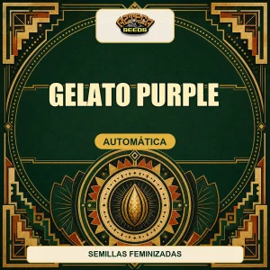 Gelato Purple