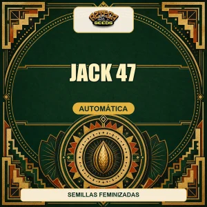 Jack 47
