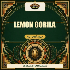 Lemon Gorila