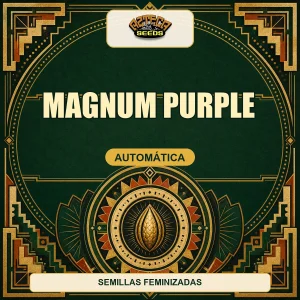 Magnum Purple
