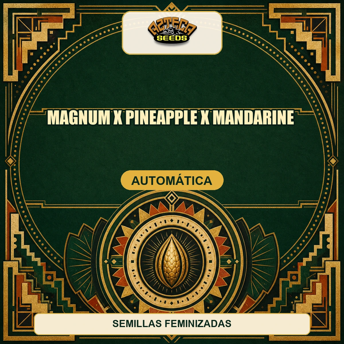 Magnum x Pineapple x Mandarine