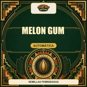 Melon Gum