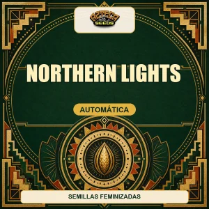 Northern Lights