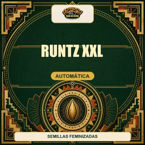 Runtz XXL