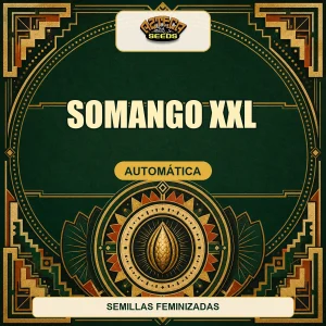 Somango XXL