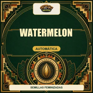 Watermelon