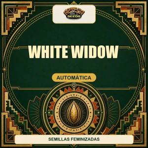 White Widow