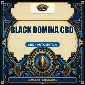 Black Domina CBD