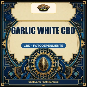 Garlic White CBD