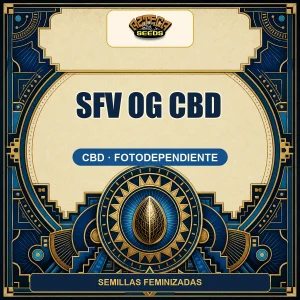 SFV OG CBD