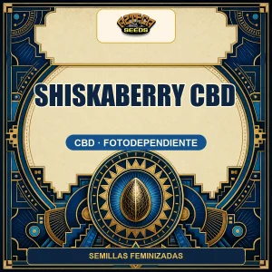 Shiskaberry CBD
