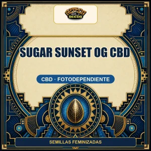 Sugar Sunset OG CBD