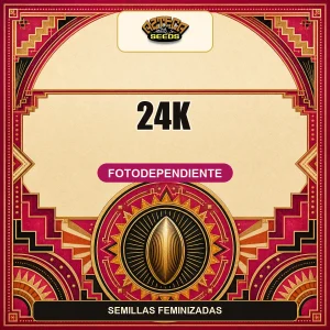 24K