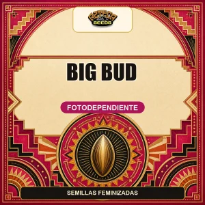 Big Bud