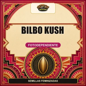 Bilbo Kush