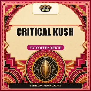 Critical Kush