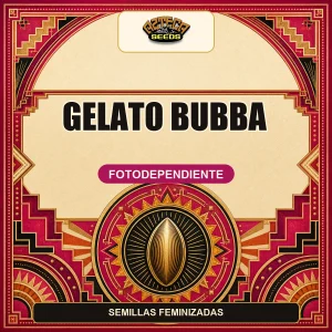 Gelato Bubba