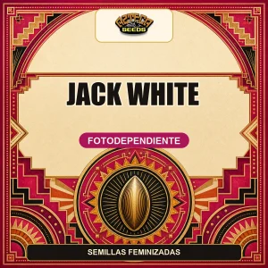 Jack White